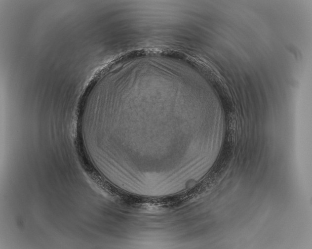 X0000113120496200909181651