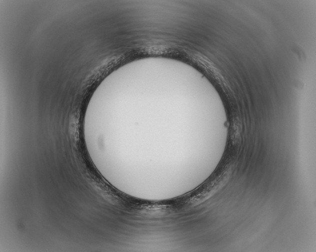 X0000113120497200909181651