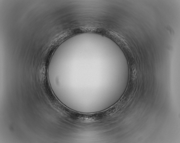 X0000113120498200909181651