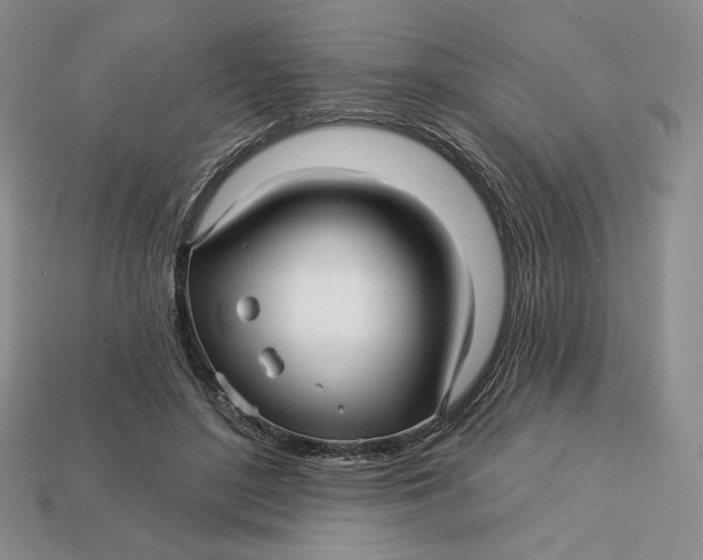 X0000113120500200909181651