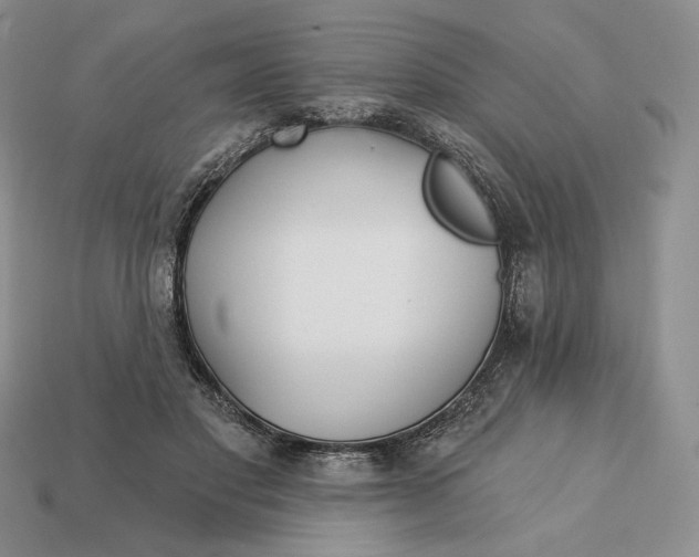 X0000113120501200909181651