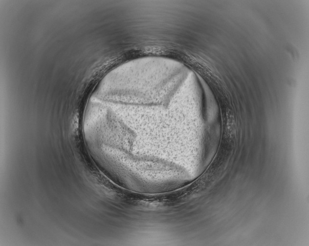 X0000113120502200909181651