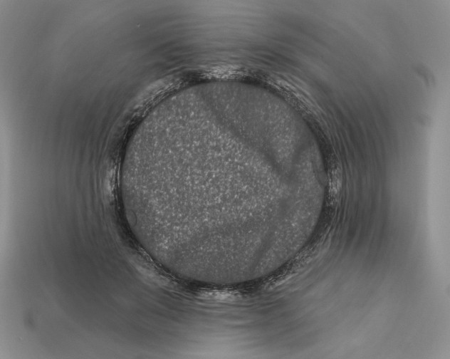 X0000113120503200909181651