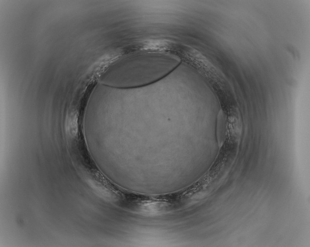 X0000113120504200909181651