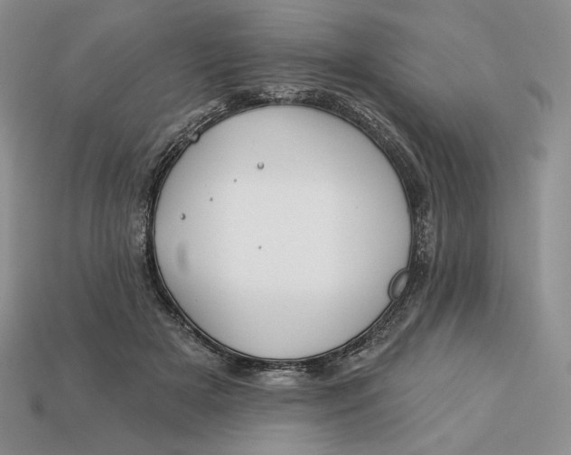 X0000113120505200909181651