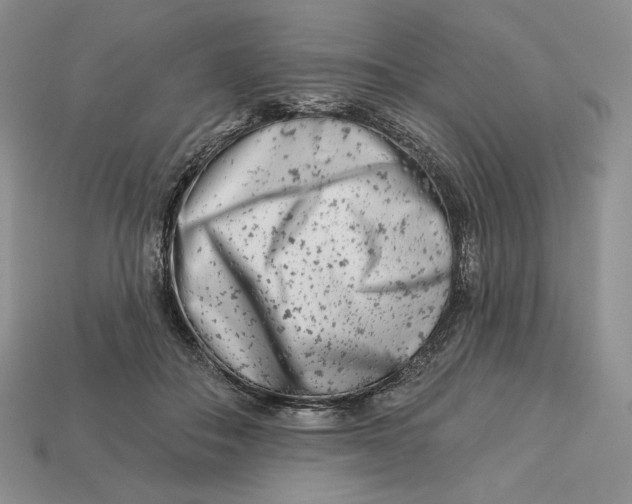 X0000113120506200909181651