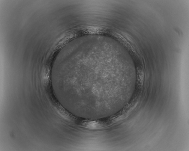 X0000113120507200909181651