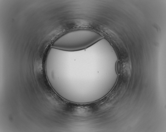 X0000113120508200909181651