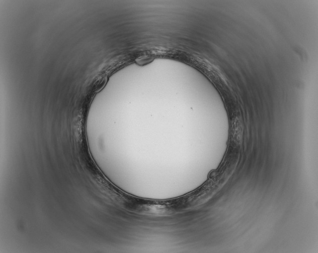 X0000113120509200909181651