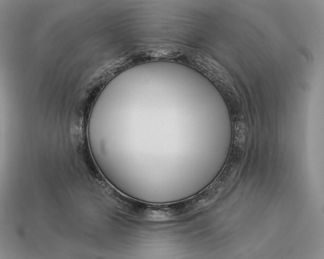 X0000113120510200909181651