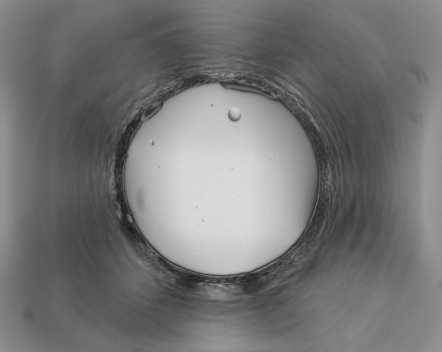 X0000113120512200909181651