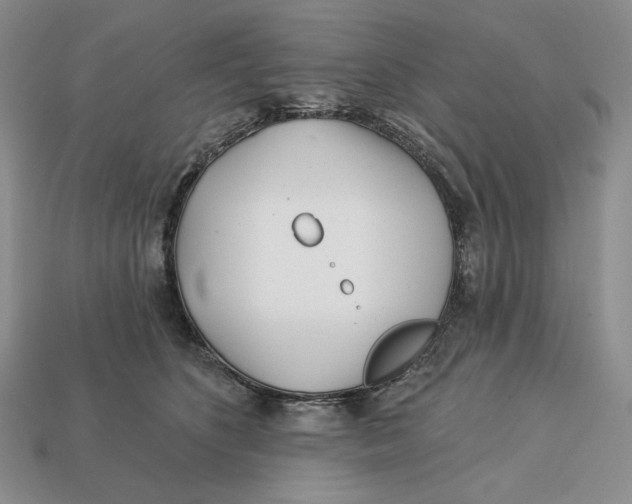 X0000113120516200909181651