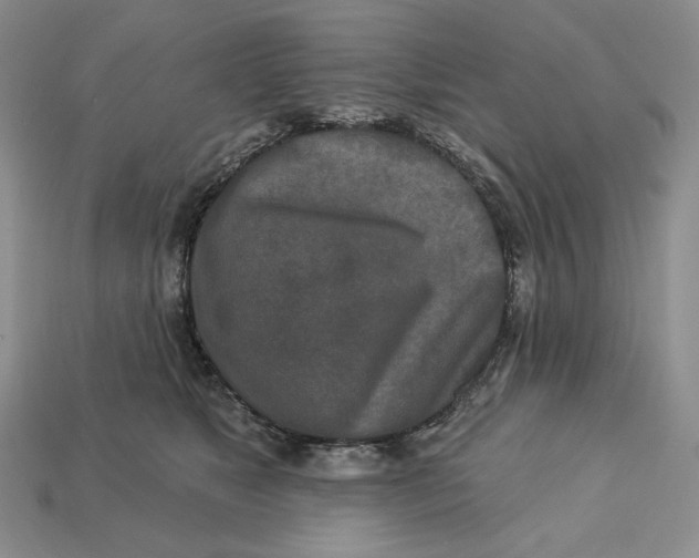 X0000113120517200909181651