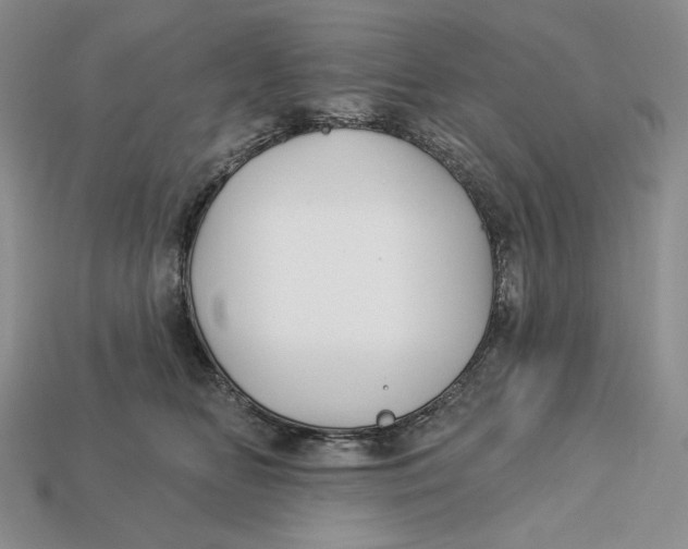 X0000113120518200909181651