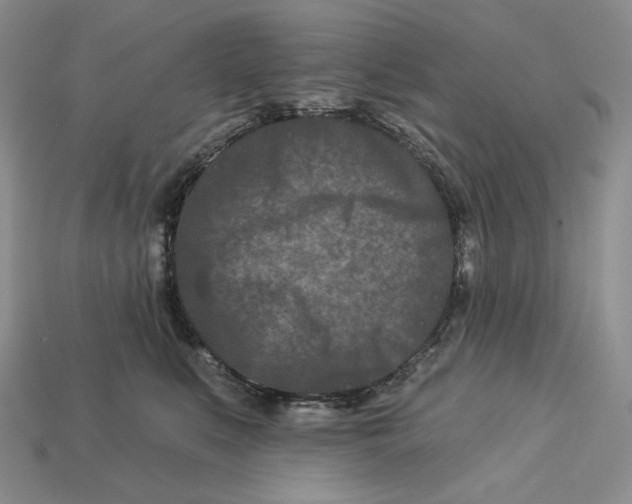 X0000113120519200909181651