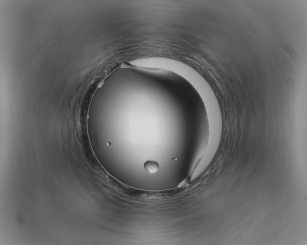 X0000113120520200909181651