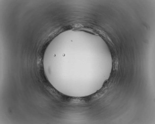 X0000113120521200909181651