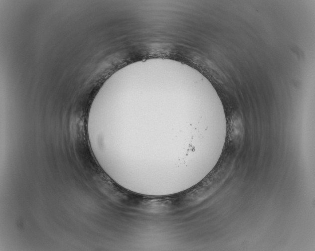 X0000113120522200909181651