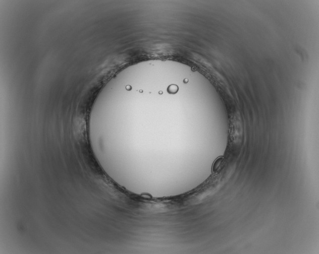 X0000113120523200909181651