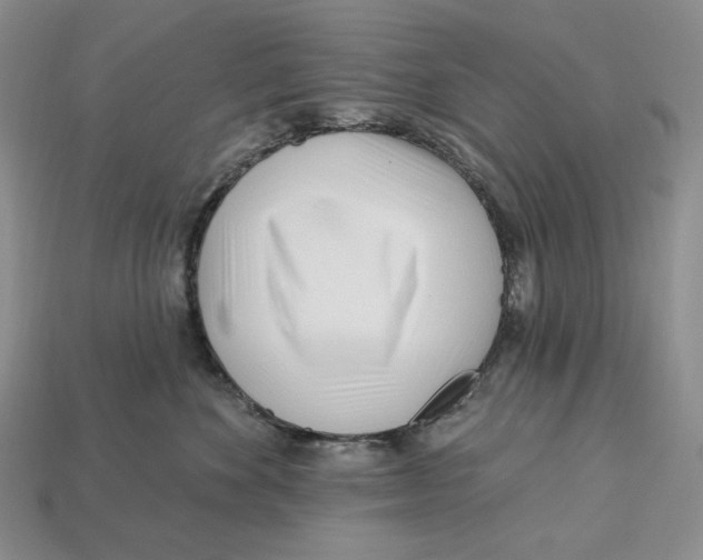 X0000113120524200909181651