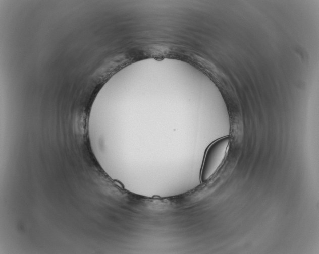 X0000113120525200909181651