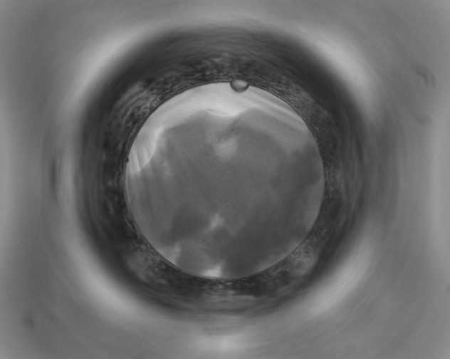 X0000113120526200909181651