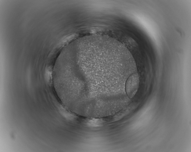 X0000113120527200909181651