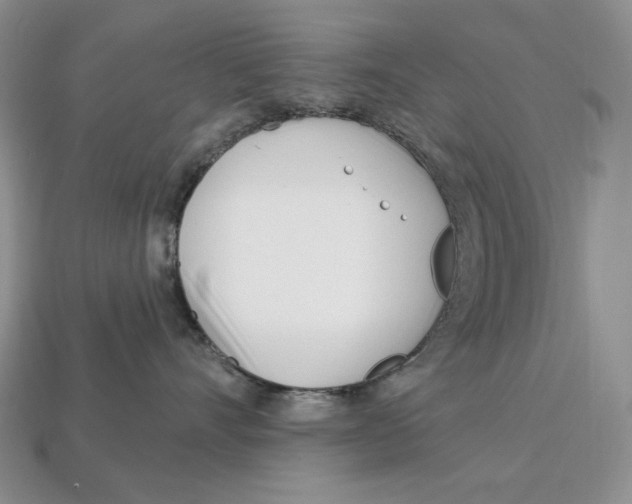 X0000113120528200909181651