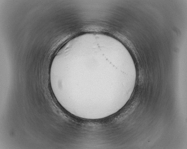 X0000113120529200909181650