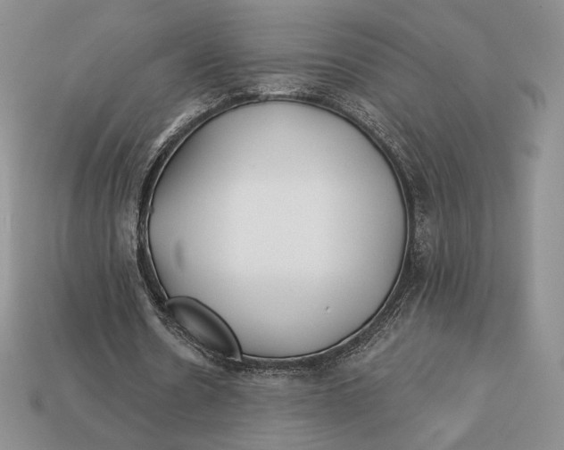 X0000113120530200909181650