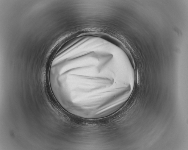 X0000113120531200909181650