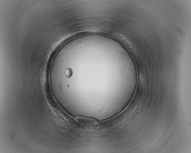 X0000113120532200909181650