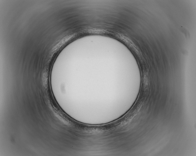 X0000113120533200909181650