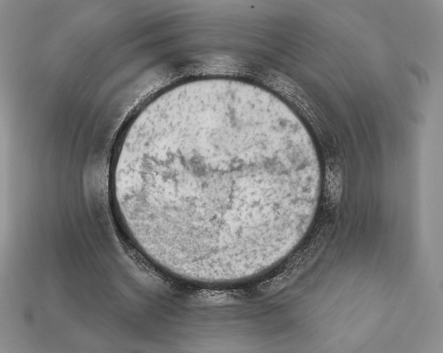 X0000113120534200909181650