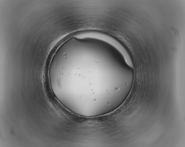 X0000113120536200909181650