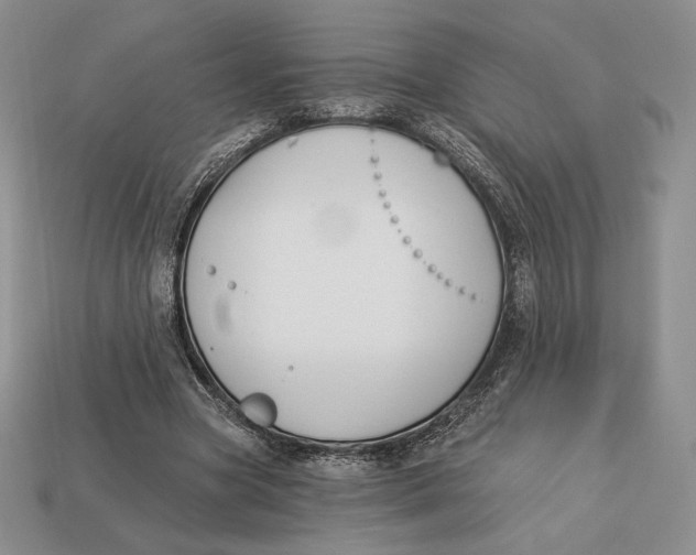 X0000113120537200909181650