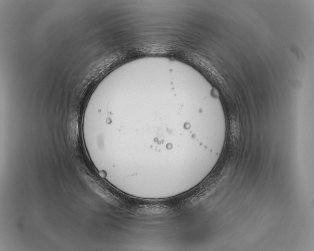 X0000113120541200909181650