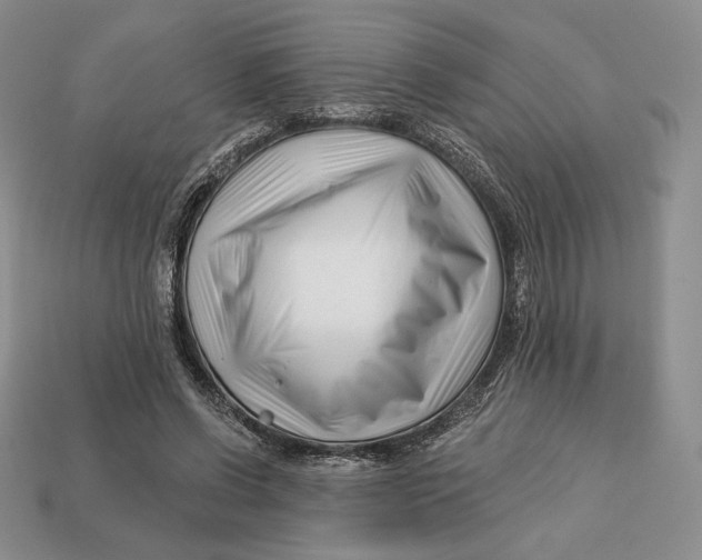 X0000113120542200909181650