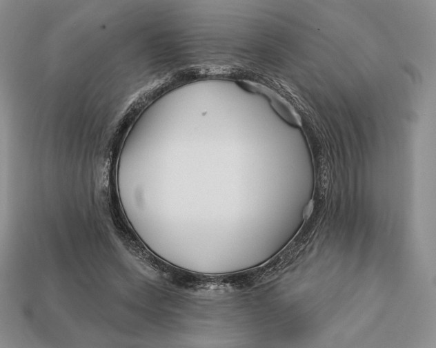 X0000113120543200909181650