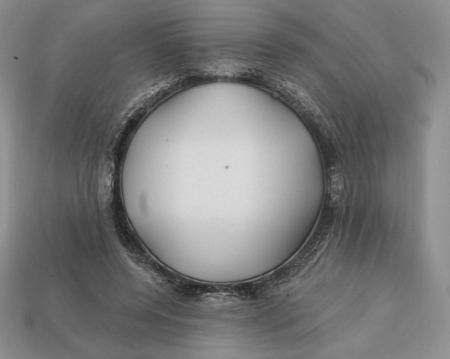 X0000113120544200909181650