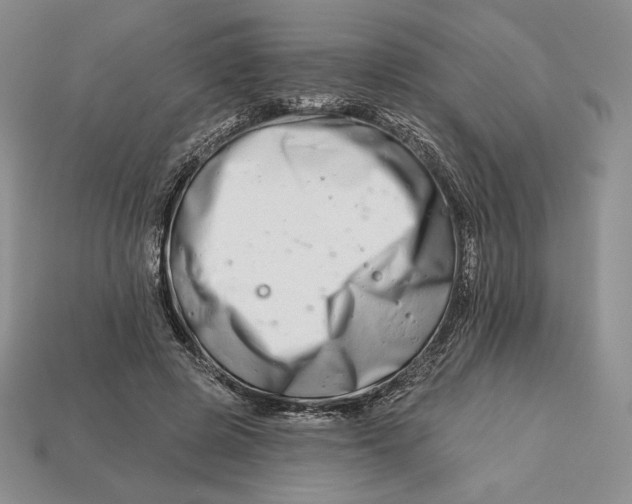 X0000113120545200909181650