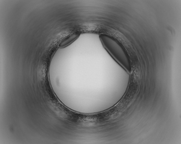 X0000113120546200909181650