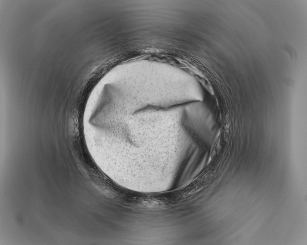 X0000113120547200909181650