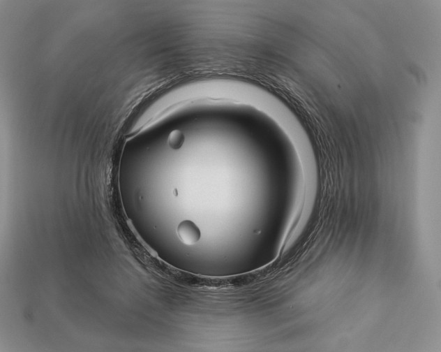 X0000113120548200909181650