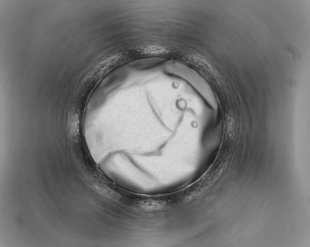 X0000113120549200909181650