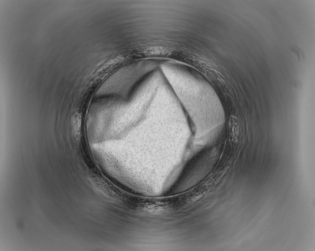 X0000113120550200909181650