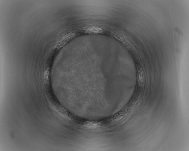 X0000113120551200909181650