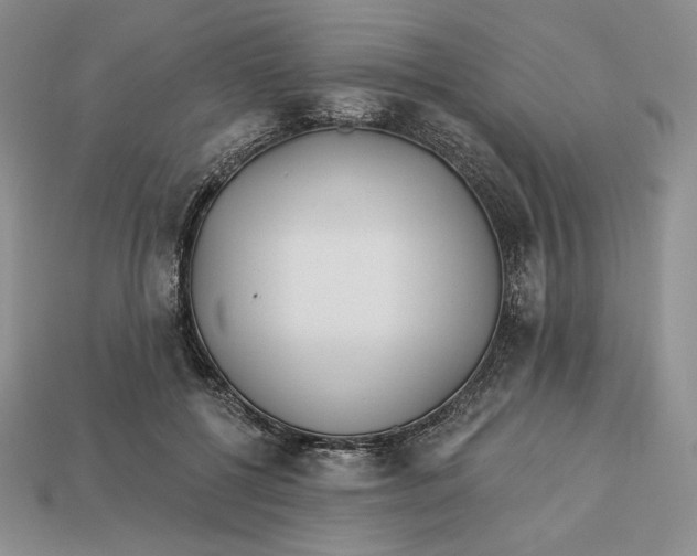 X0000113120552200909181651