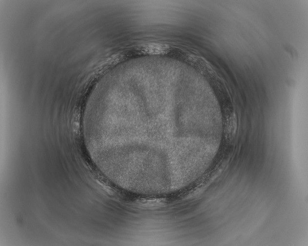 X0000113120553200909181651