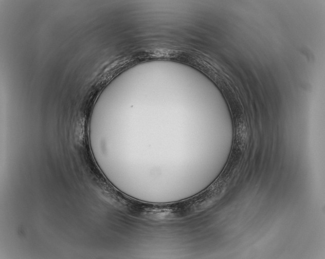 X0000113120554200909181651